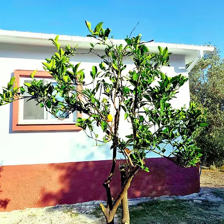 Apartament Garden N1 Archangelos (Rhodes)